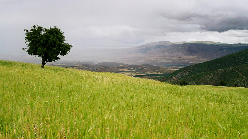 Paysage Berbère