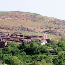 img_2535