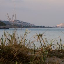 img_0502