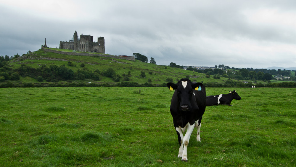 Rock of Cashel III