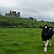 Rock of Cashel III