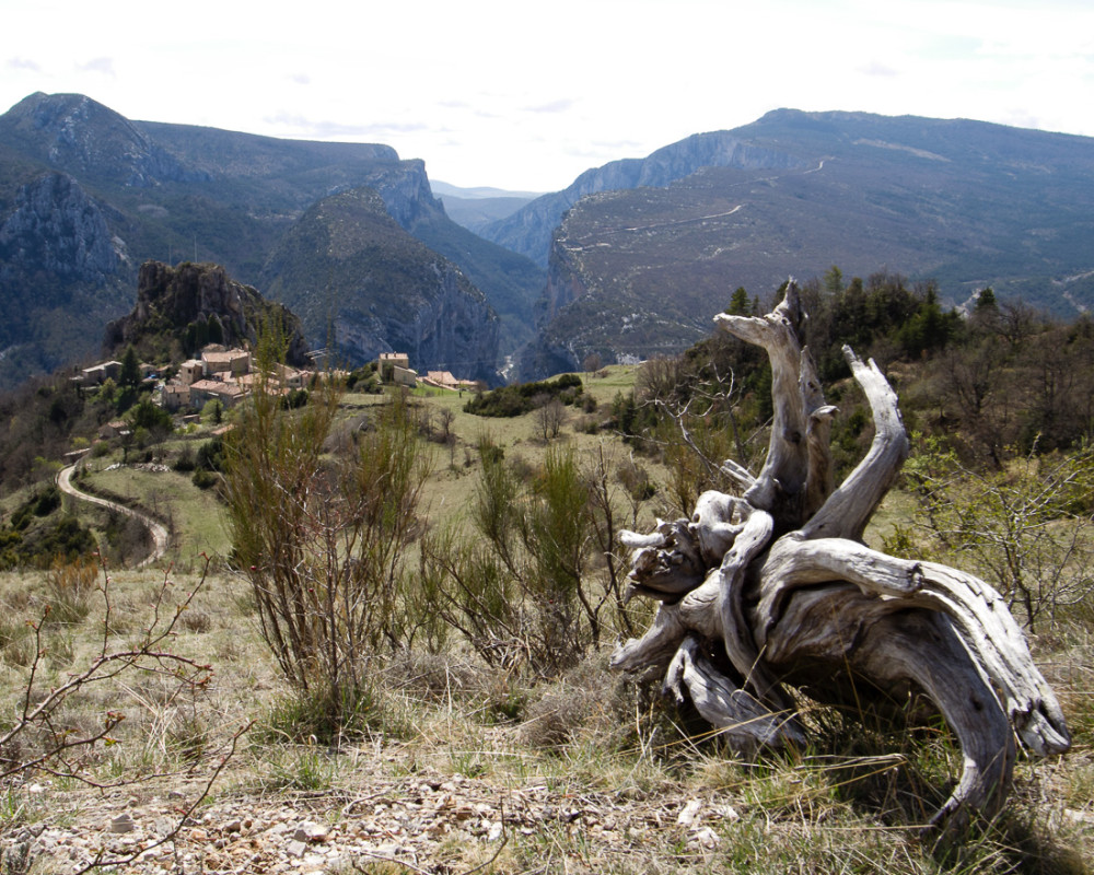 Rougon