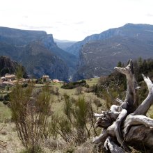 Rougon