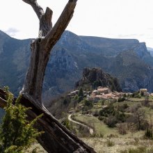 Rougon II