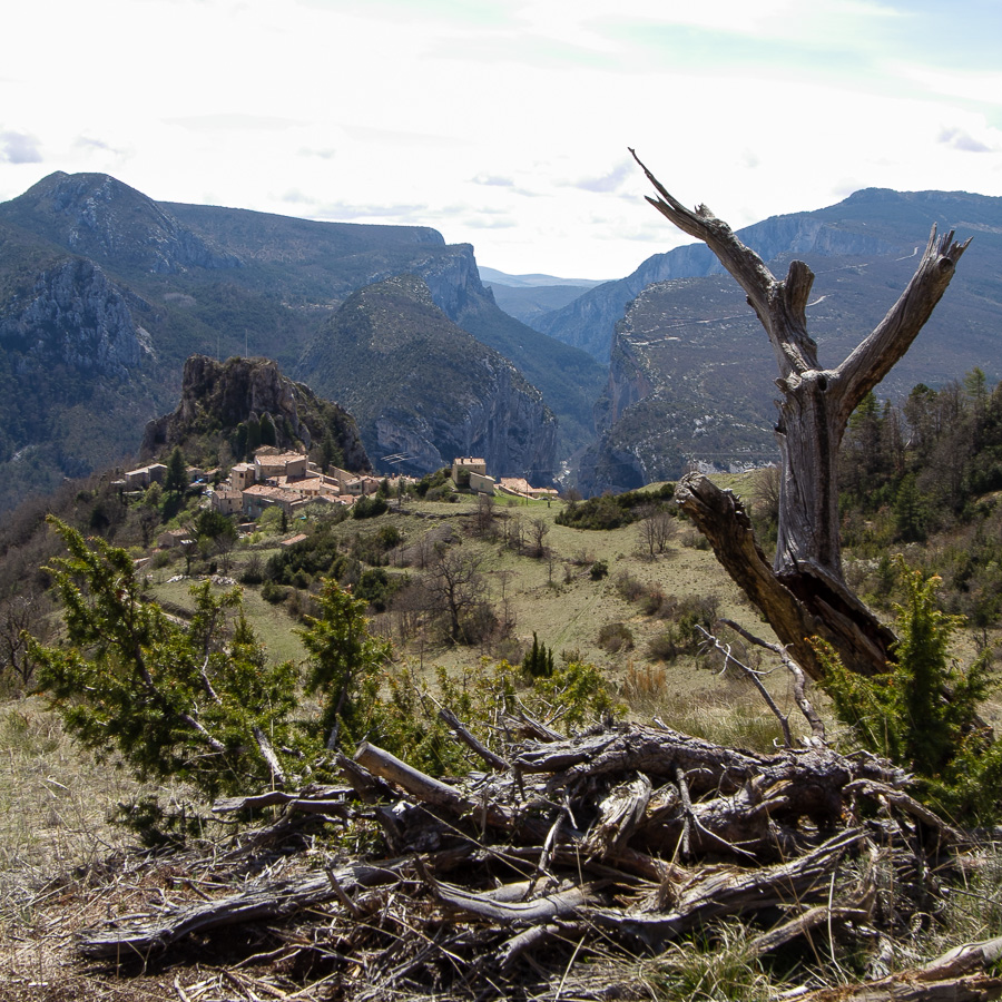 Rougon III