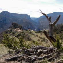 Rougon III