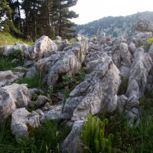 Lumière rasante sur les Lapiaz