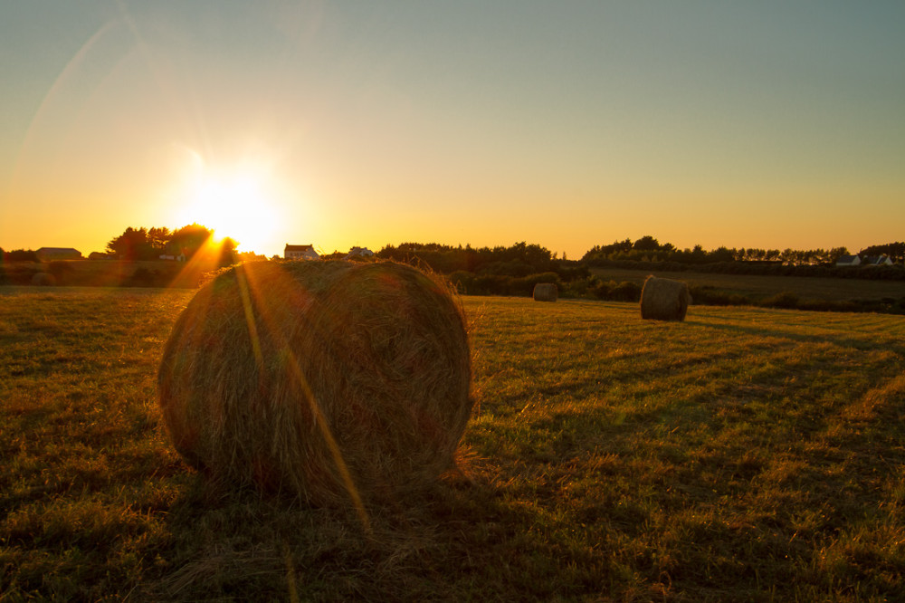 Coucher de soleil près de Sauzon