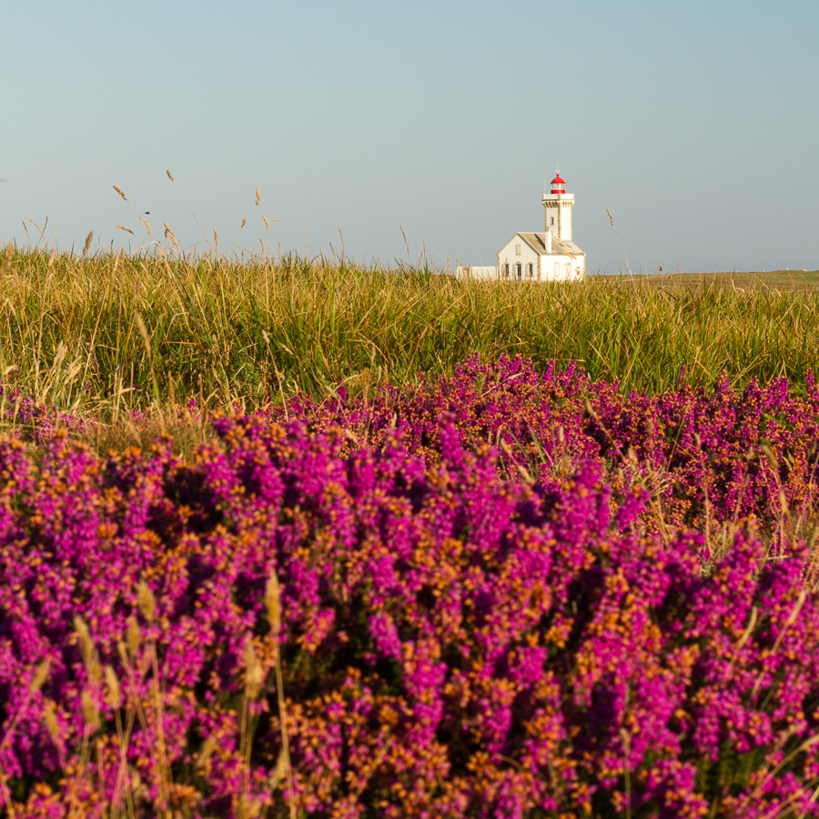 Phare des Poulains