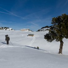 Cabane de l'Essaure
