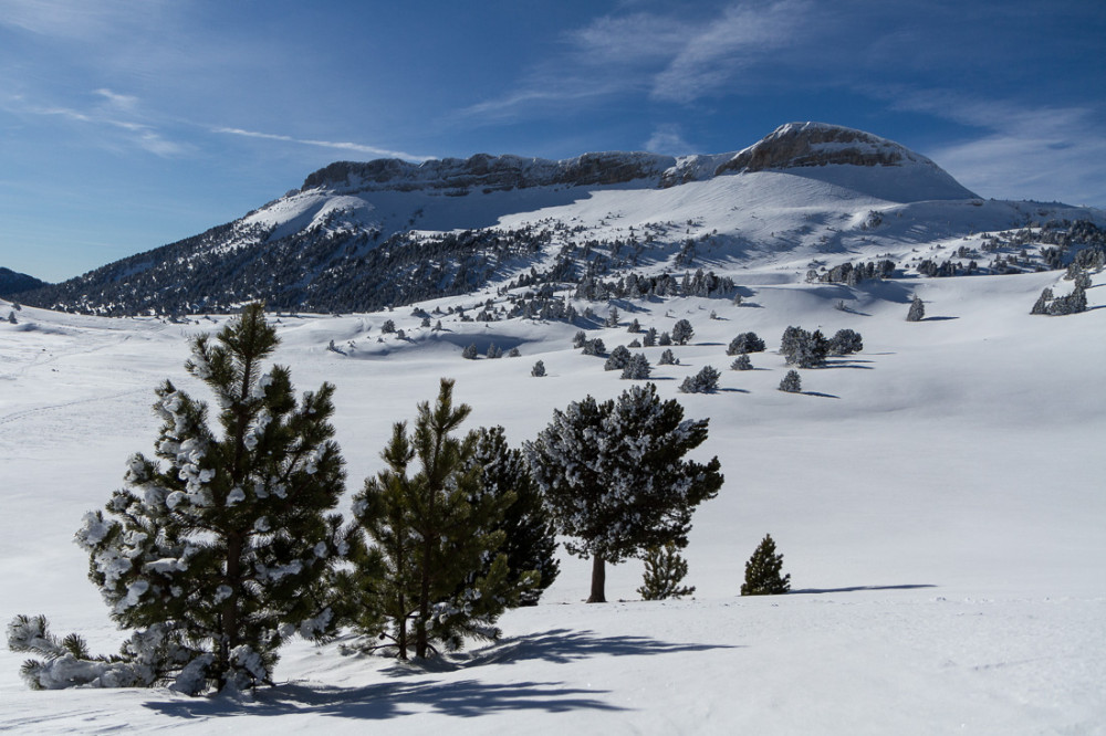 Sommet de la Montagnette