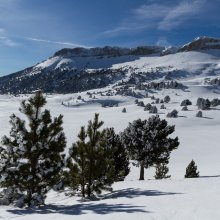 Sommet de la Montagnette