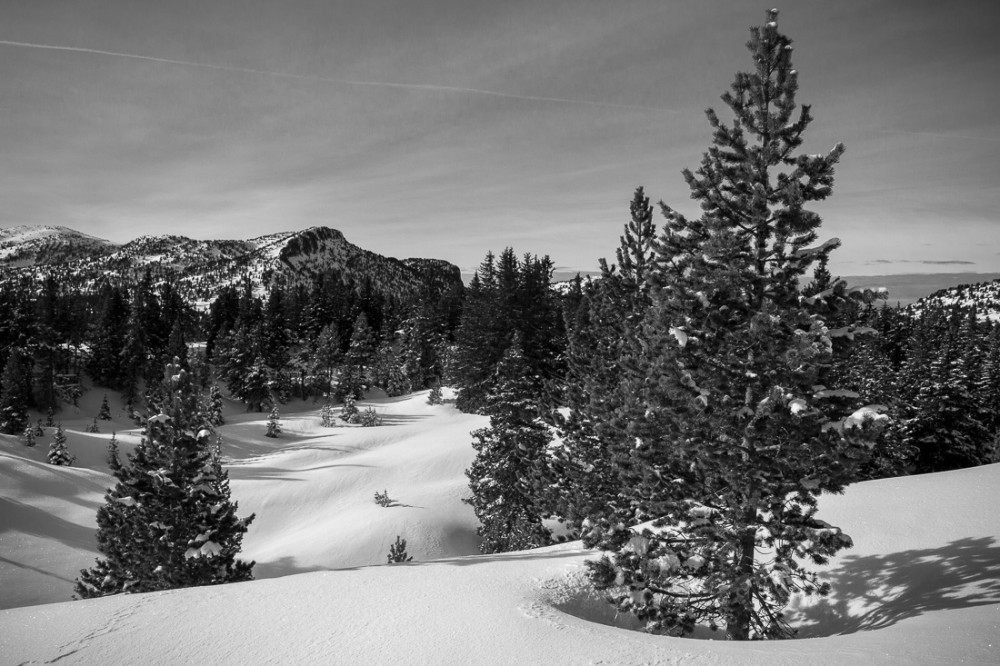 Paysage vers le col du Pison