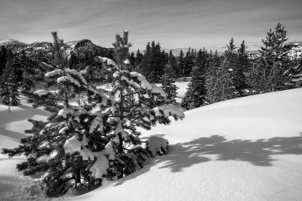 Paysage vers le col du Pison II