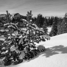 Paysage vers le col du Pison II
