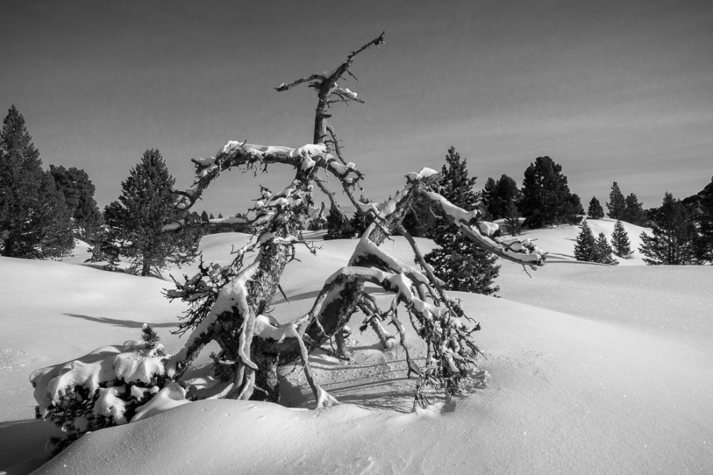 Paysage vers Jas Neuf