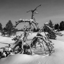 Paysage vers Jas Neuf