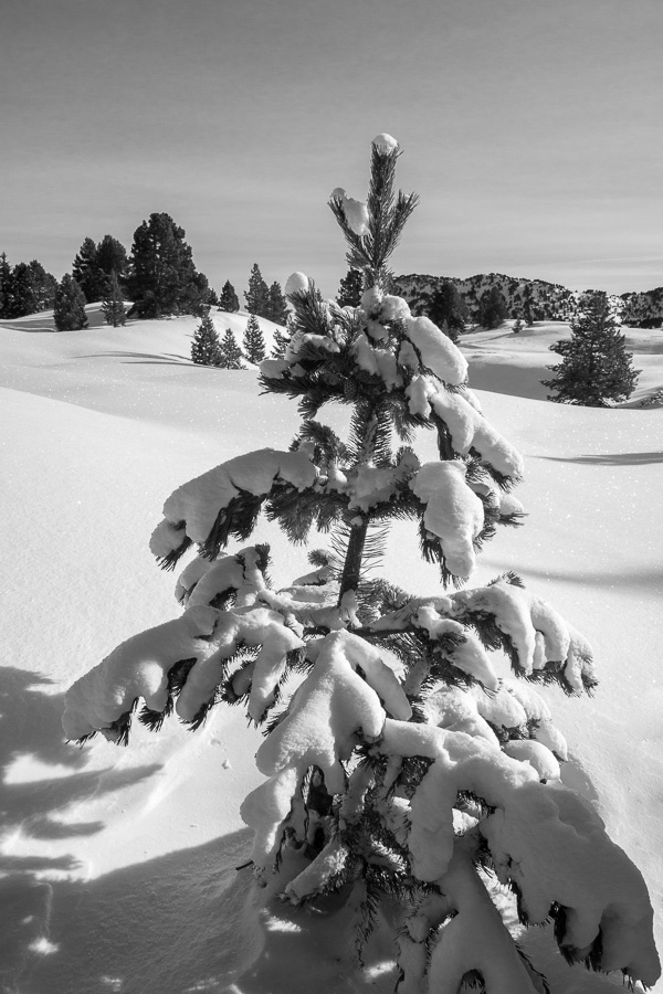 Paysage vers Jas Neuf II