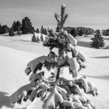 Paysage vers Jas Neuf II