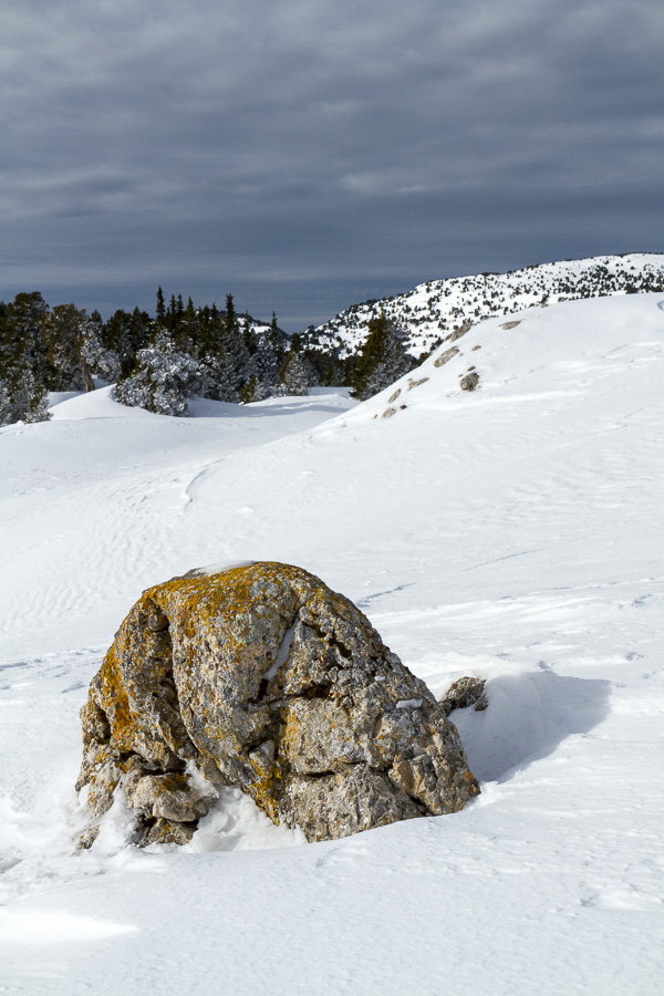 Paysage vers Jas Neuf III