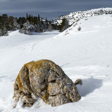 Paysage vers Jas Neuf III