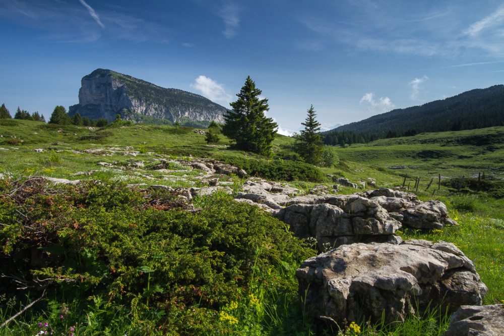 Alpage des Haberts de Barraux