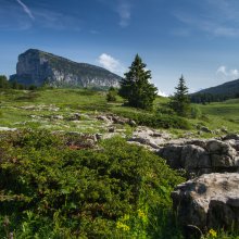 Alpage des Haberts de Barraux