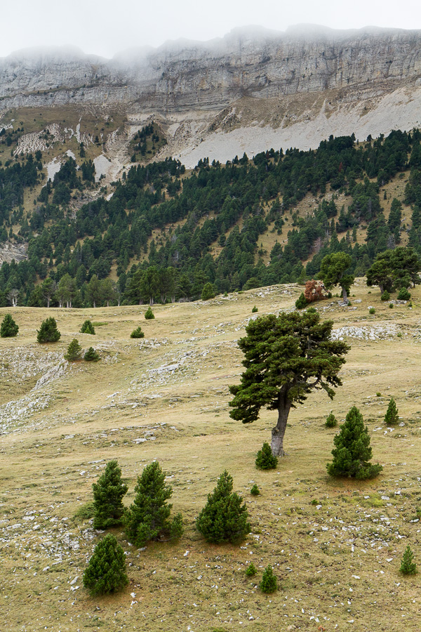 Alpage sous la Montagnette