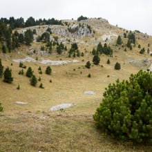 Col du Creuson II