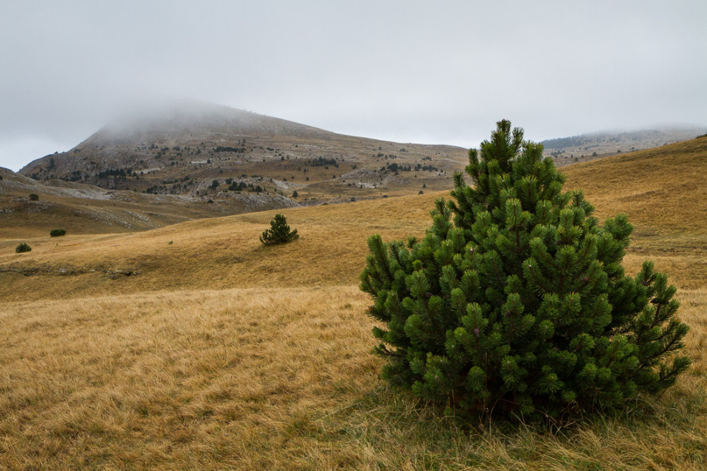 La Montagnette depuis Pré Mouret