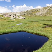 Pozzine au lac de Nino