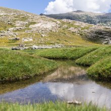 Pozzine au lac de Nino