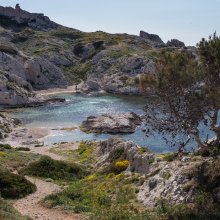 Calanque de la Crine