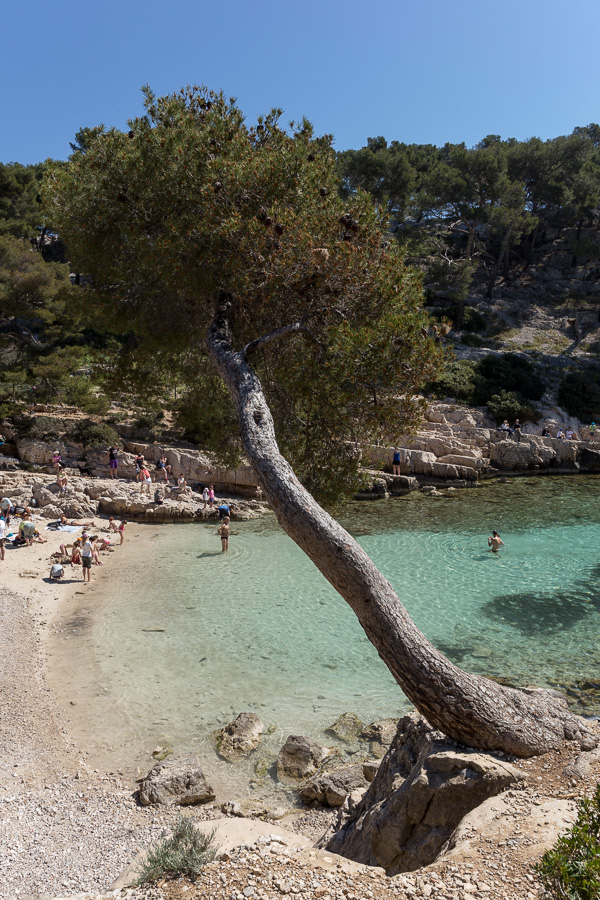 Calanque de Port-Pin II