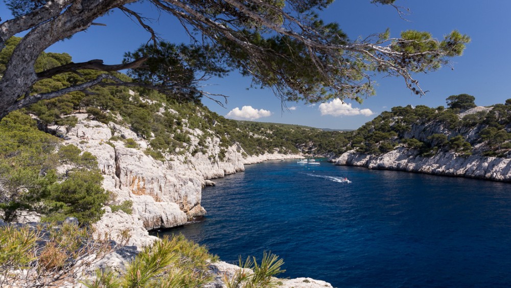 Calanque de Port-Pin IV