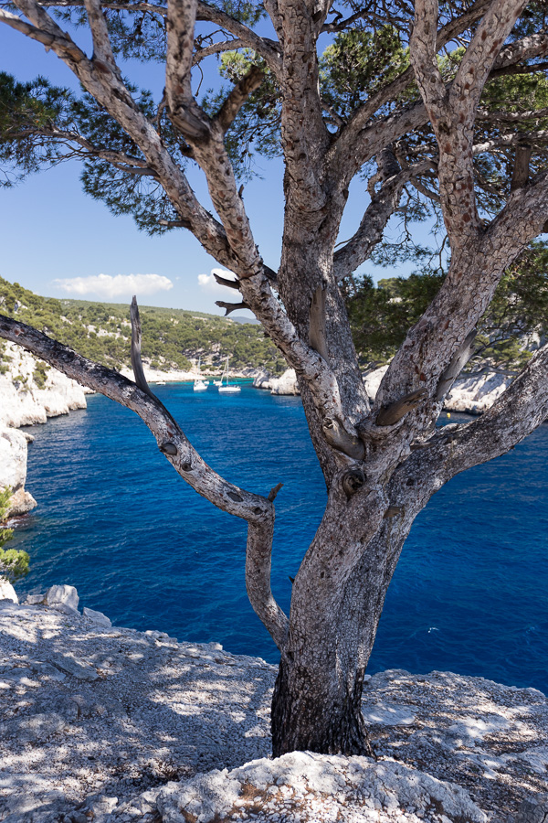 Calanque de Port-Pin V