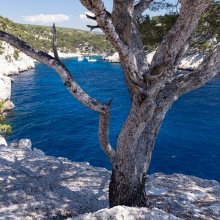 Calanque de Port-Pin V
