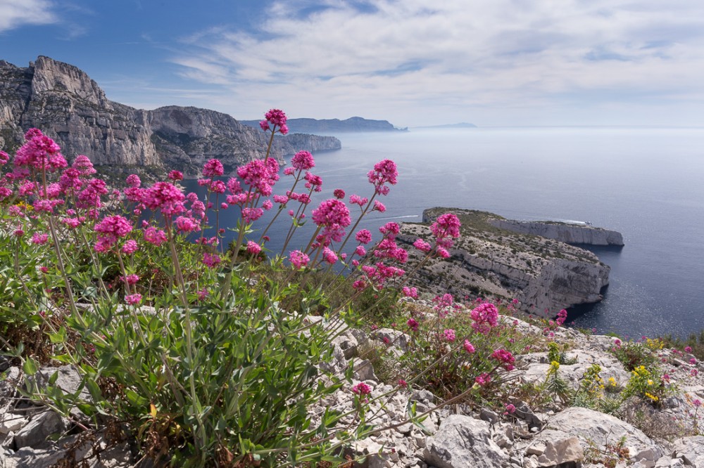 Cap Morgiou