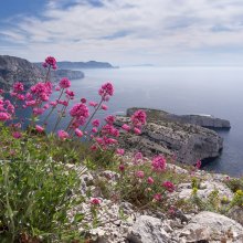Cap Morgiou