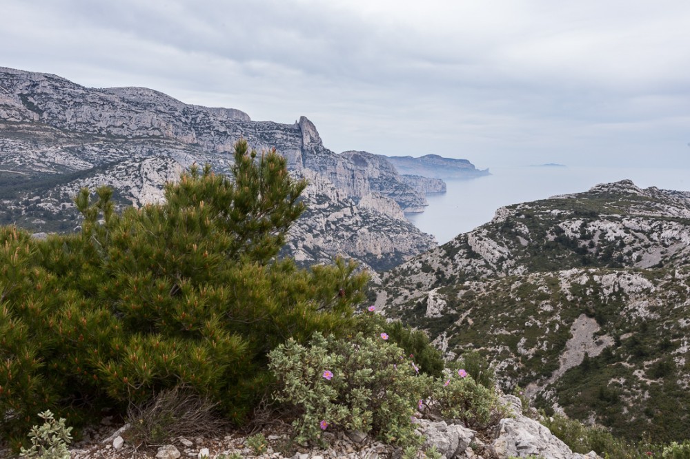 Crête de Morgiou