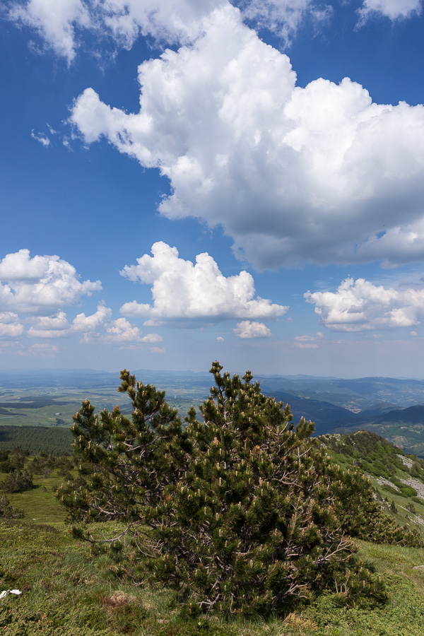 Nuages au Mézenc