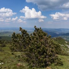 Nuages au Mézenc