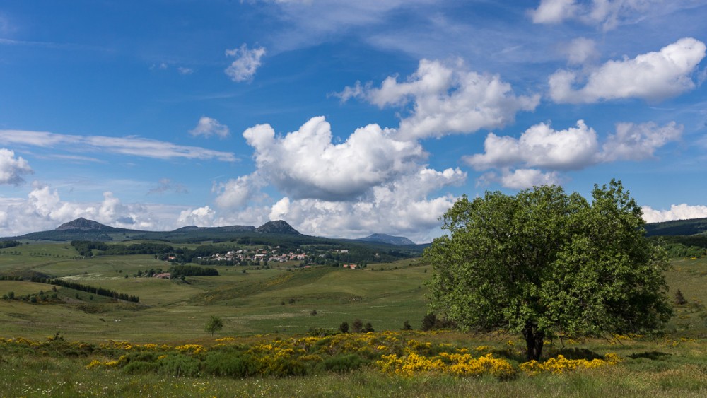 Landes vers Sainte-Eulalie