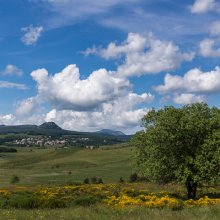 Landes vers Sainte-Eulalie