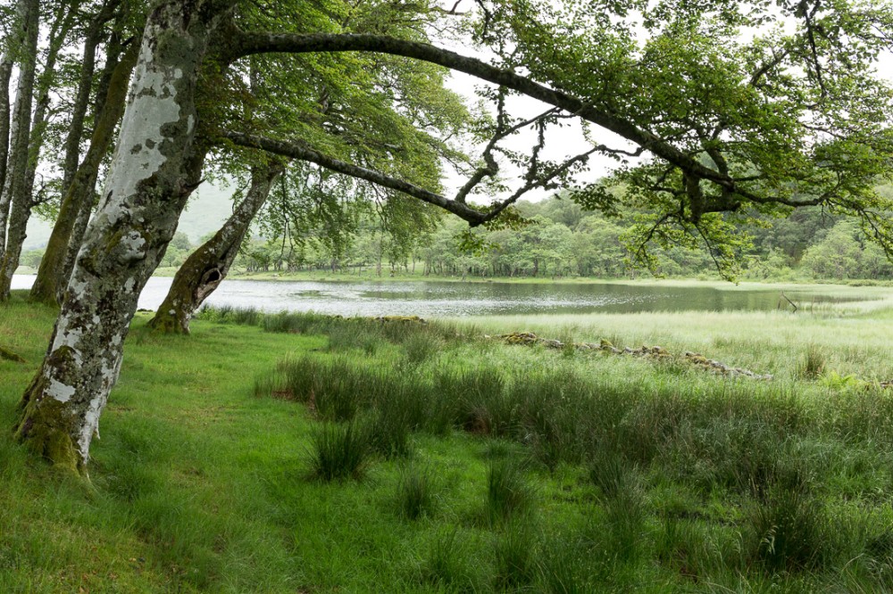 Loch Awe