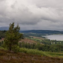 Dornoch Firth