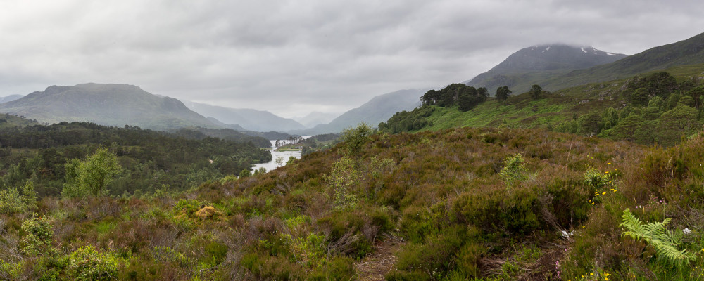 Glen Affric