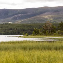 Loch Morlich