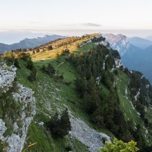 Les crêtes