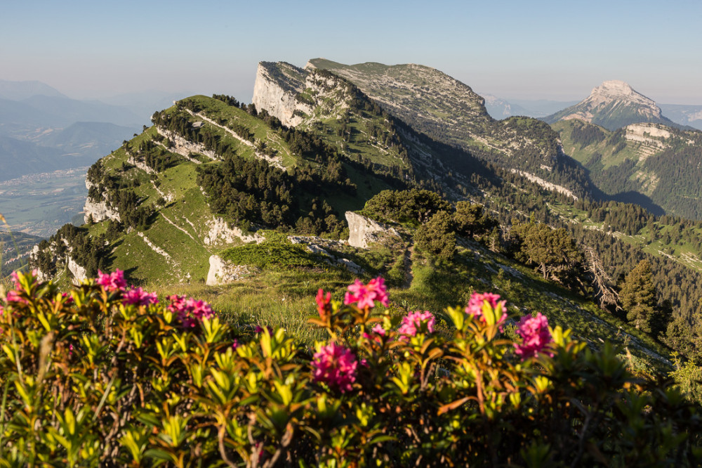 La Dent de Crolles II